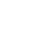 SMFA Logo